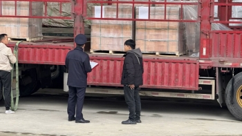 Chính phủ gỡ khó cho doanh nghiệp, kéo dài tạm ngưng Nghị định 46 để chờ luật mới