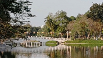 Hà Nội xuân tràn từng ô cửa