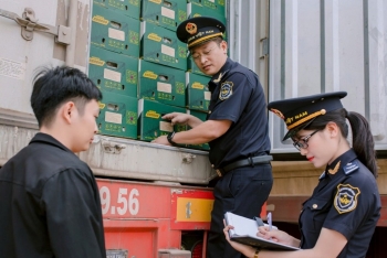 Hải quan khu vực XIV: Kim ngạch xuất nhập khẩu quý I tăng gần 48%