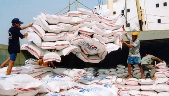 Xuất khẩu gạo 2026: Cơ hội tăng trưởng song hành thách thức chi phí và chất lượng