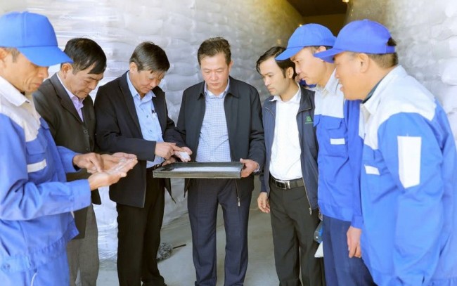 Chi cục Dự trữ Nhà nước khu vực III: Xây dựng kho dự trữ "An toàn - Xanh - Sạch - Đẹp"