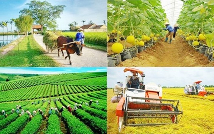 Gỡ “điểm nghẽn” thể chế, thúc tiến độ phân bổ và giải ngân vốn chương trình mục tiêu quốc gia