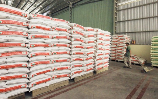 Ngành chăn nuôi đối mặt áp lực chi phí và cơ hội tái cấu trúc