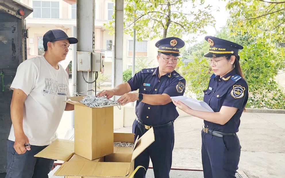 hai quan cung kien tao voi nguoi dan va doanh nghiep