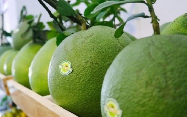 Ký Nghị định thư bưởi, chanh sang Trung Quốc