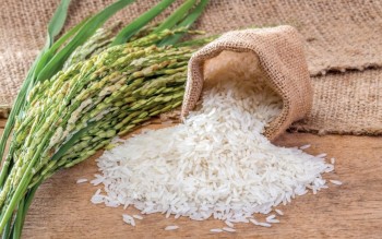 Ngày 21/4: Giá lúa gạo tại Đồng bằng sông Cửu Long đi ngang, giao dịch chậm