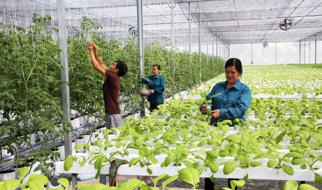 Từ cam kết Net Zero đến bài toán dòng vốn: Làm sao để chuyển đổi xanh không chỉ dừng ở mục tiêu?