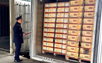 Tạo thuận lợi, Hải quan thống nhất thủ tục kho, bãi triển khai Nghị quyết 66.16/2026/NQ-CP