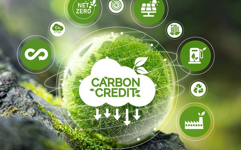 Xây dựng cơ chế giám sát minh bạch cho sàn carbon