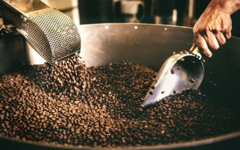 Dự báo giá cà phê tăng nhẹ thời gian tới vì lo ngại thiếu hụt nguồn cung