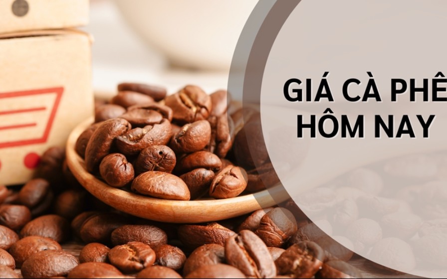 Ngày 11/5: Giá cà phê và hồ tiêu đồng loạt tăng