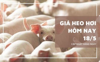 Ngày 18/5: Giá heo hơi tại khu vực miền Nam biến động