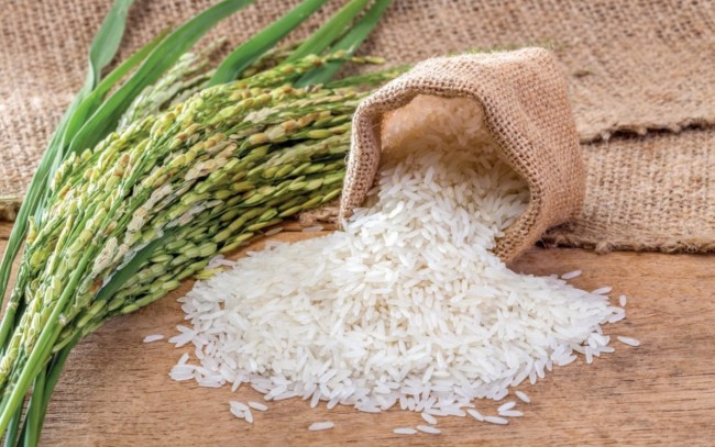 Ngày 29/5: Giá lúa gạo tại Đồng bằng sông Cửu Long neo cao dù giao dịch chậm