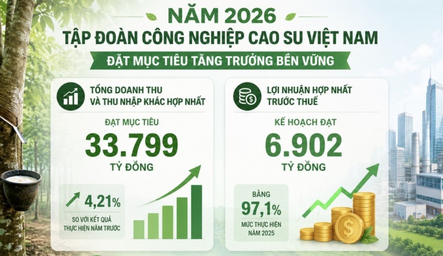 Tập đoàn Công nghiệp Cao su Việt Nam tiếp tục duy trì tư cách công ty đại chúng