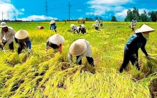 Gần 600 đại biểu đại diện hơn 10 triệu nông dân cả nước dự Đại hội Hội Nông dân Việt Nam lần thứ IX