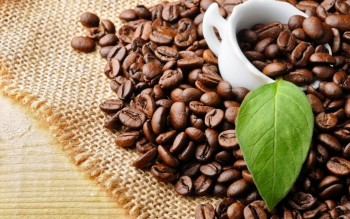 Ngày 9/6: Giá cà phê tiếp tục chịu sức ép, hồ tiêu neo cao