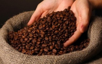 Ngày 30/7: Giá cà phê tiếp tục bứt phá, hồ tiêu tăng mạnh