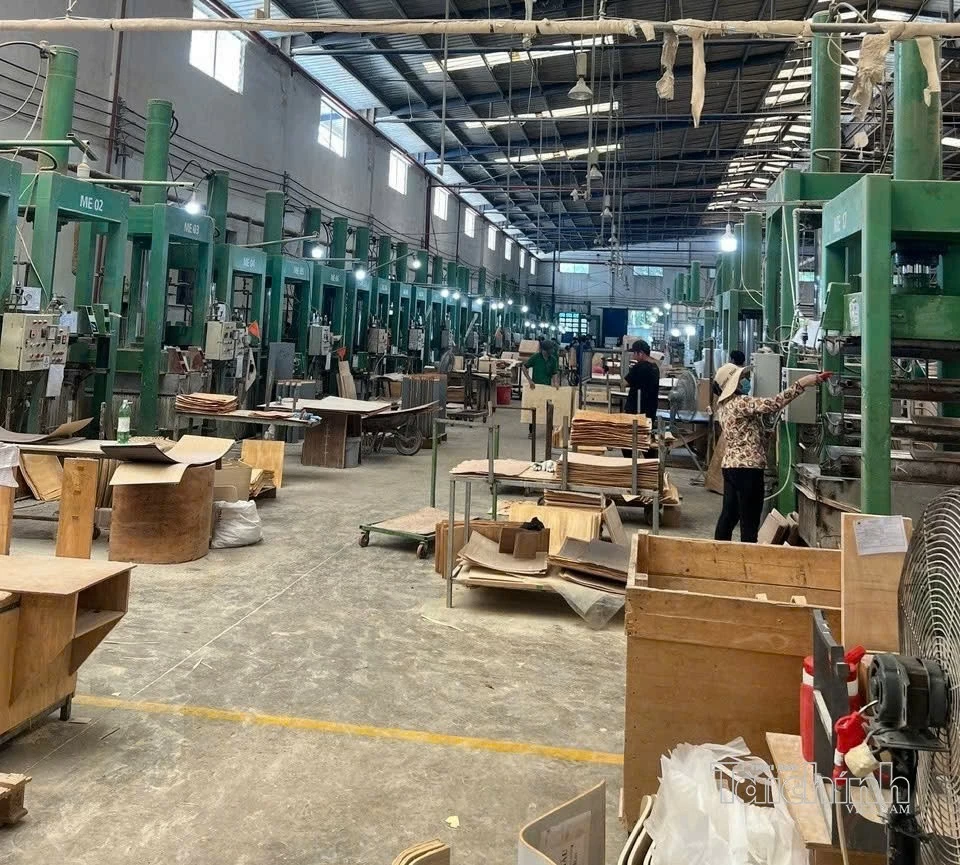 Doanh nghiệp xuất khẩu lo làn sóng rào cản thương mại kéo dài