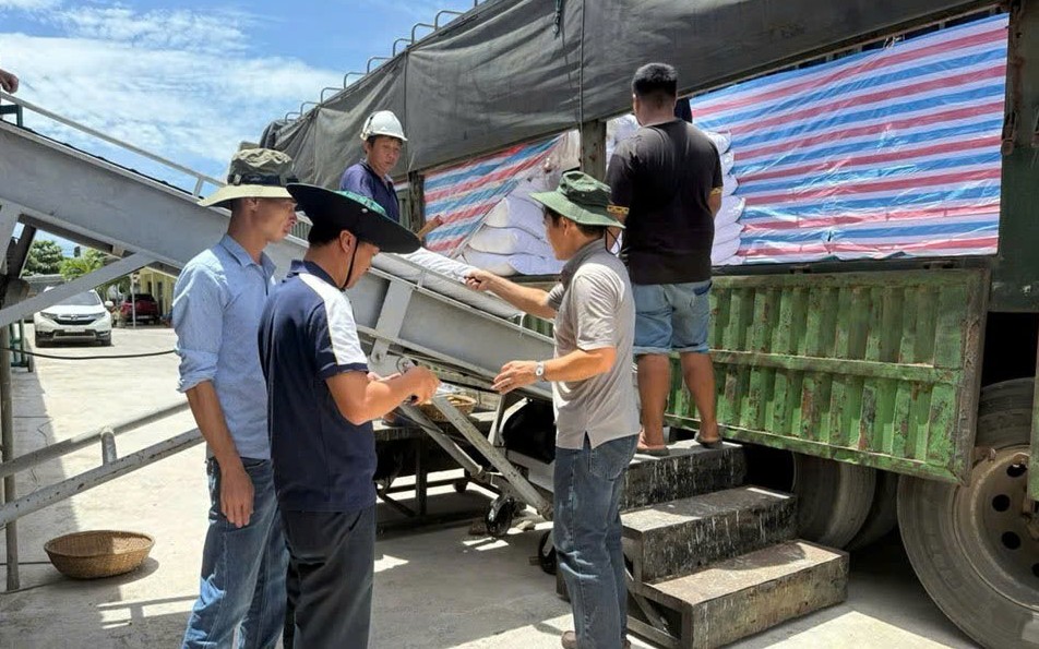 "Tích cốc phòng cơ" cho đại ngàn Tây Nguyên và Nam Trung Bộ