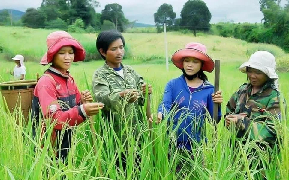 de xuat loat co che moi thuc hien chuong trinh muc tieu quoc gia 2026 2035