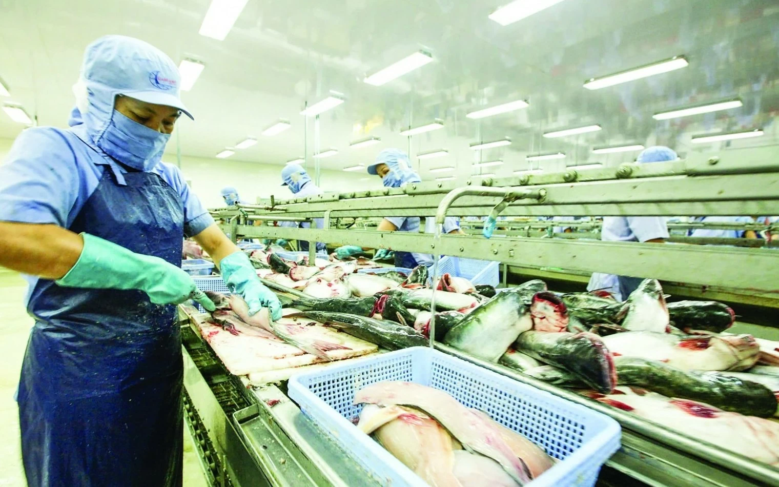 thuong mai viet nam rong cua don co hoi moi