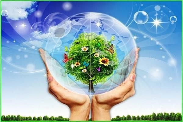 Doanh nghiệp niêm yết chung tay ứng phó với biến đổi khí hậu