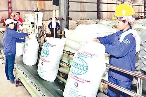 Tái cơ cấu doanh nghiệp nhà nước giai đoạn 2021 - 2025: Khẳng định vai trò đầu tàu, lan tỏa