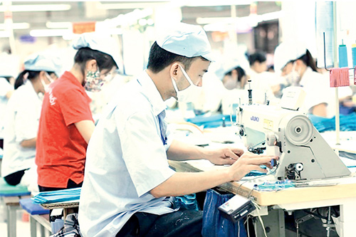 Nhiều thủ tục hành chính thuế đã được tinh giản