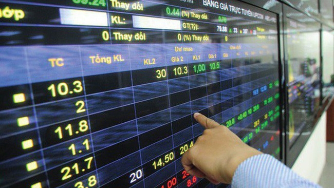 Xử phạt thành viên Hội đồng quản trị MVC do báo cáo không đúng thời hạn