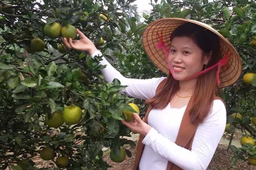 ha tinh xuat hien nhieu ty phu tu phong trao nong dan thi dua san xuat gioi