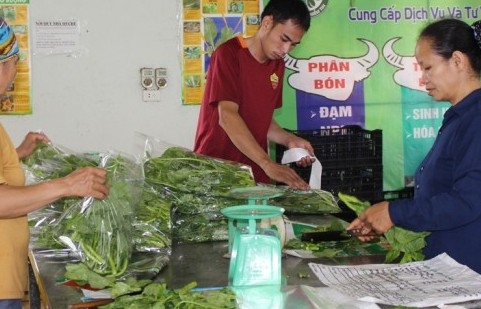 Phú Thọ: Phát triển tài sản trí tuệ, nâng cao sức cạnh tranh của sản phẩm hàng hóa