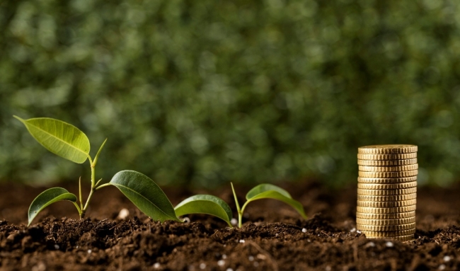 Green finance framework vital for reshaping industrial future