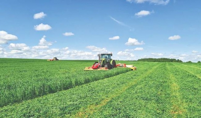 Vietnamese businesses pour $1.1 billion into overseas ventures