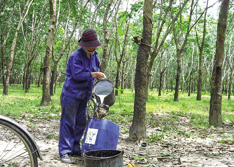 State-owned stocks rally as reform expectations lift market sentiment