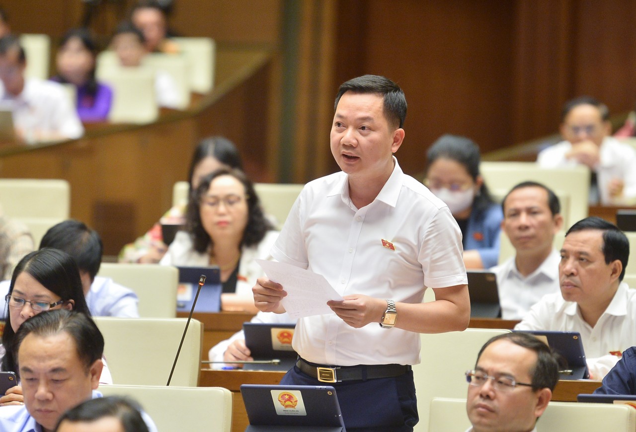 Đại biểu Trịnh Xuân An