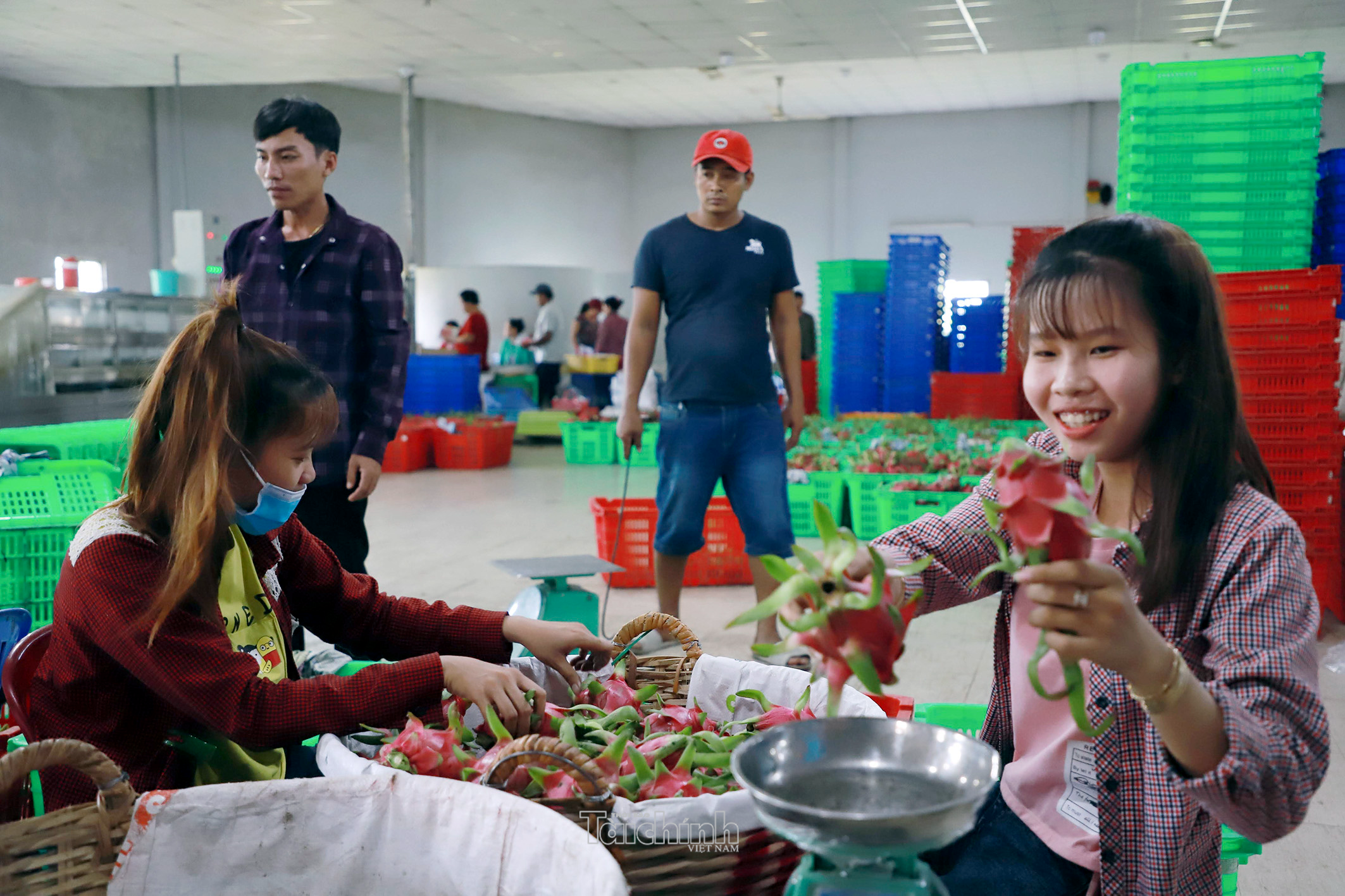 Hàng loạt thị trường siết quy định SPS, doanh nghiệp xuất khẩu cần chủ động thích ứng Hàng loạt thị trường siết quy định SPS, doanh nghiệp xuất khẩu cần chủ động thích ứng