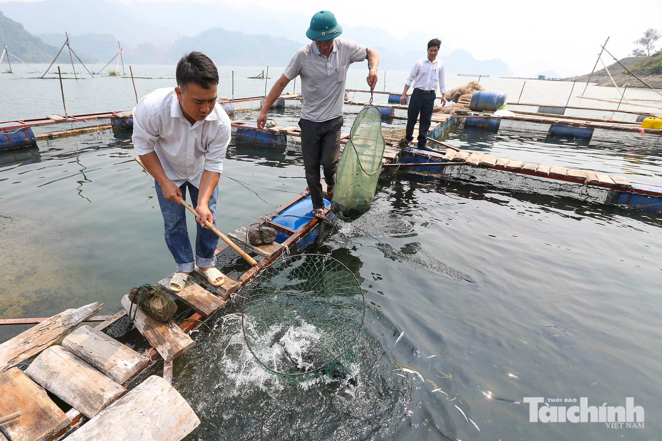 Mua, bán sản phẩm nông, thủy sản bằng bảng kê: Hiểu đúng để tránh rủi ro về thuế Mua, bán sản phẩm nông, thủy sản bằng bảng kê: Hiểu đúng để tránh rủi ro về thuế
