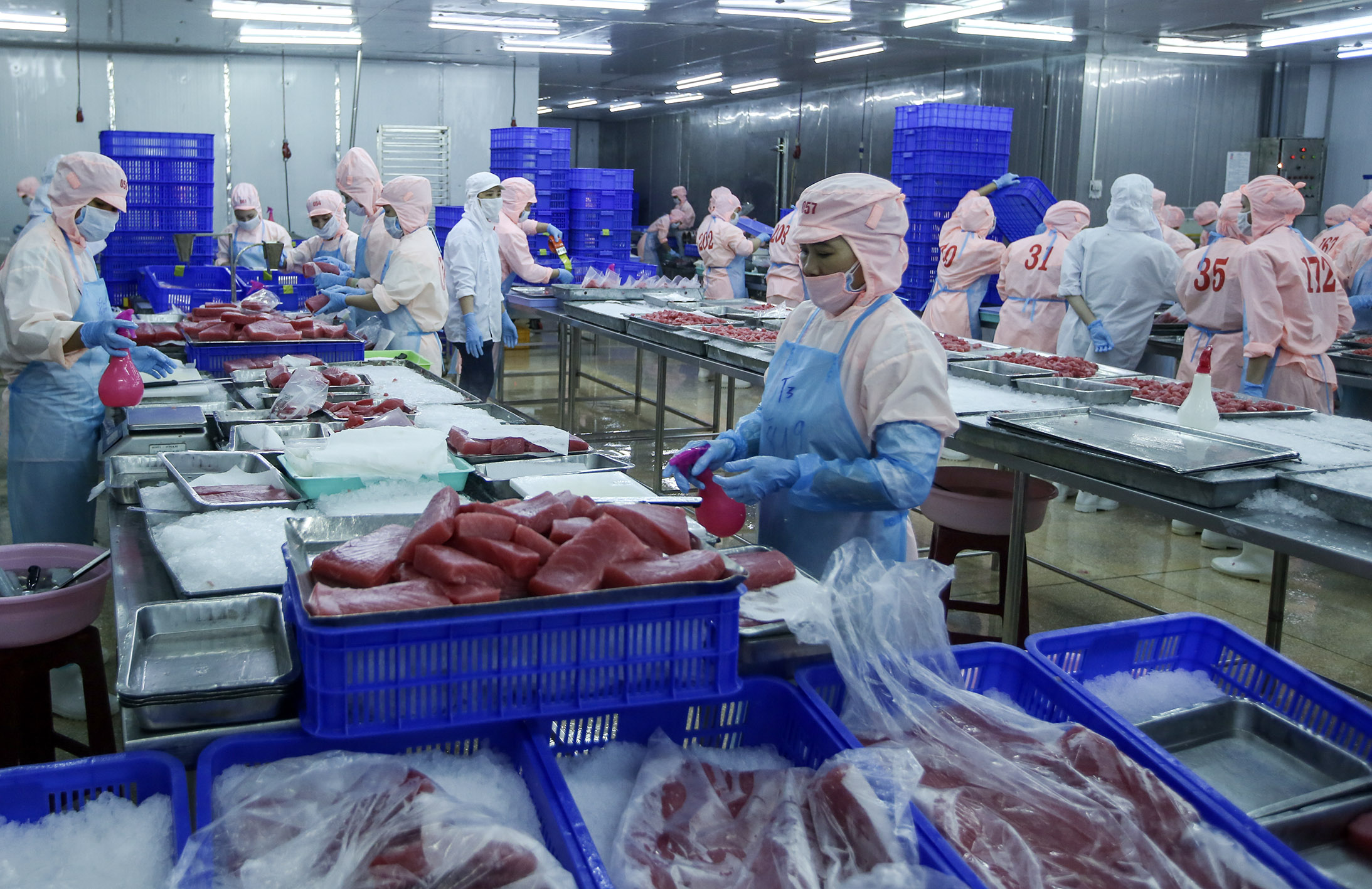 chế biến và đánh bắt cá ngừ đại dương tại Dắk Lắc ảnh Đức Thanh