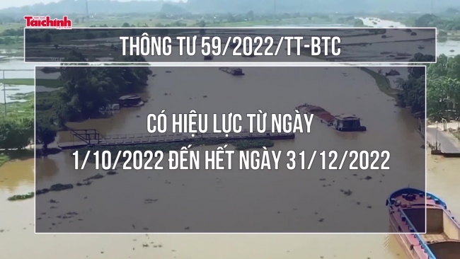 Giảm đến 50% một số khoản phí hỗ trợ hoạt động kinh doanh vận tải