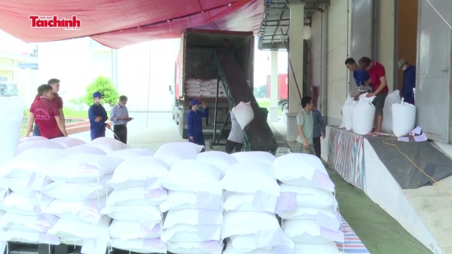 Xuất hơn 37.200 tấn gạo dự trữ quốc gia hỗ trợ học sinh học kỳ 1 năm học 2023 - 2024