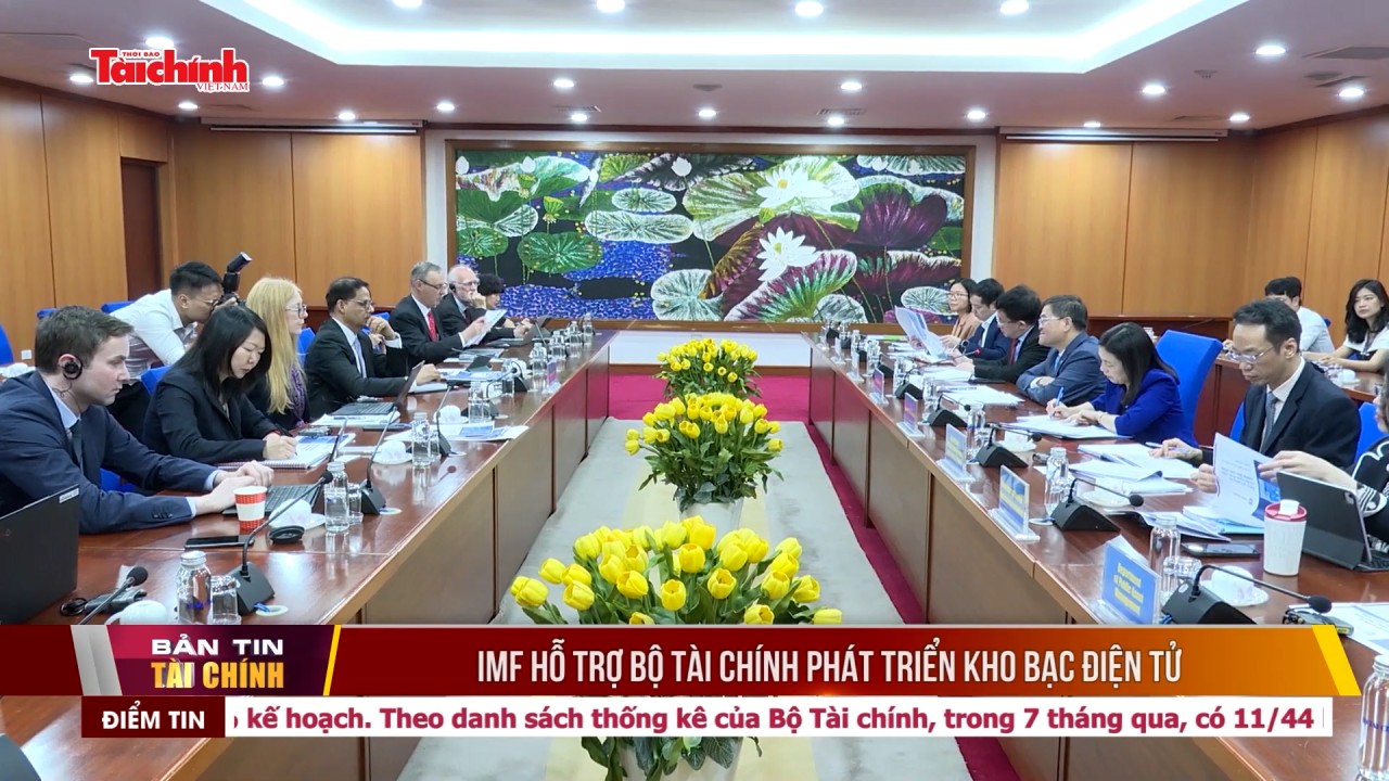 IMF hỗ trợ Bộ Tài chính phát triển kho bạc điện tử