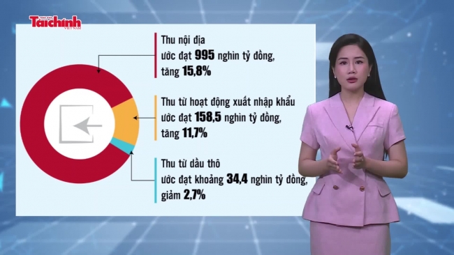 Số liệu và bình luận tuần 5-11/8/2024