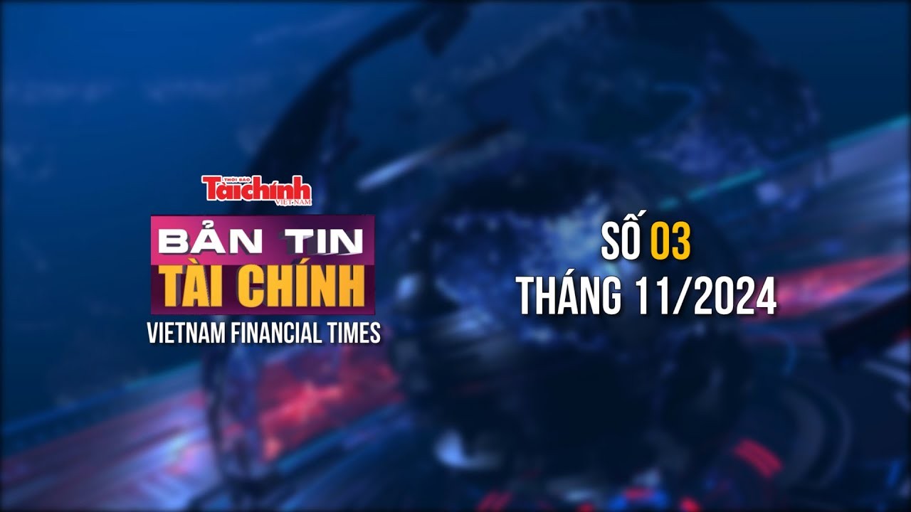 Bản tin Tài chính - số 3 tháng 11/2024